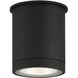 Plaza 100 LED 4.33 inch Black Outdoor Ceiling Mount